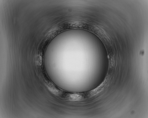 X0000100940183200807011254