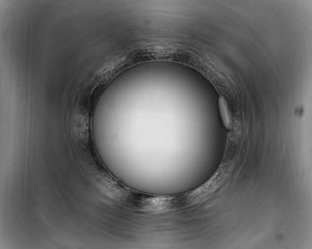 X0000100940184200807011254