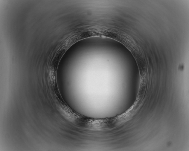 X0000100940186200807011254