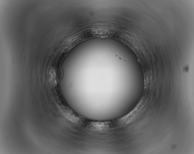 X0000100940187200807011254