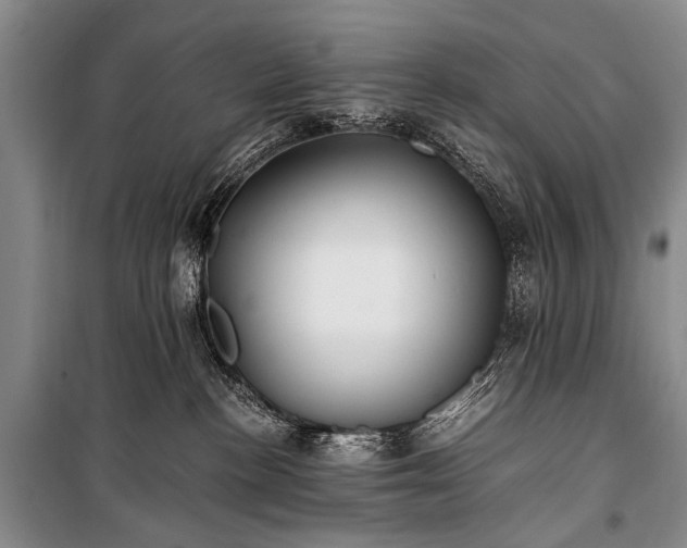 X0000100940188200807011254