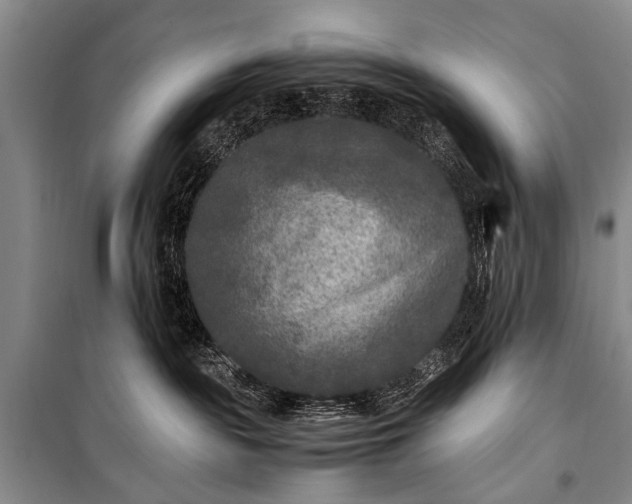 X0000100940189200807011254