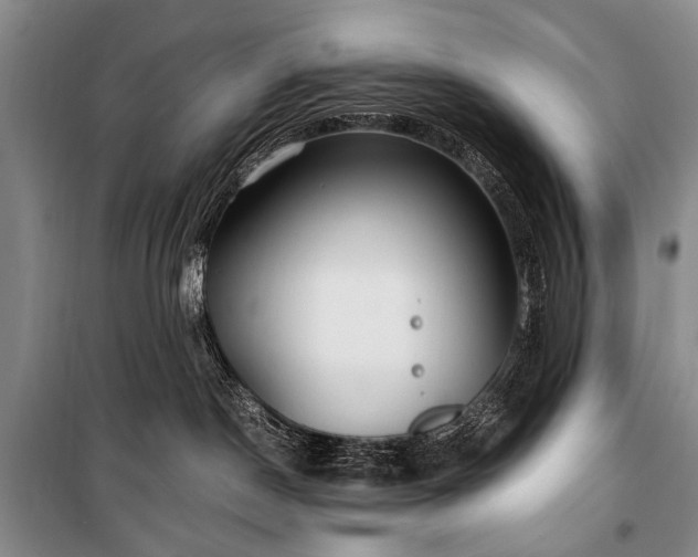 X0000100940190200807011254