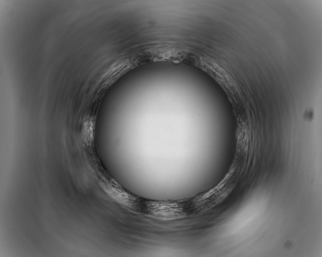 X0000100940191200807011254