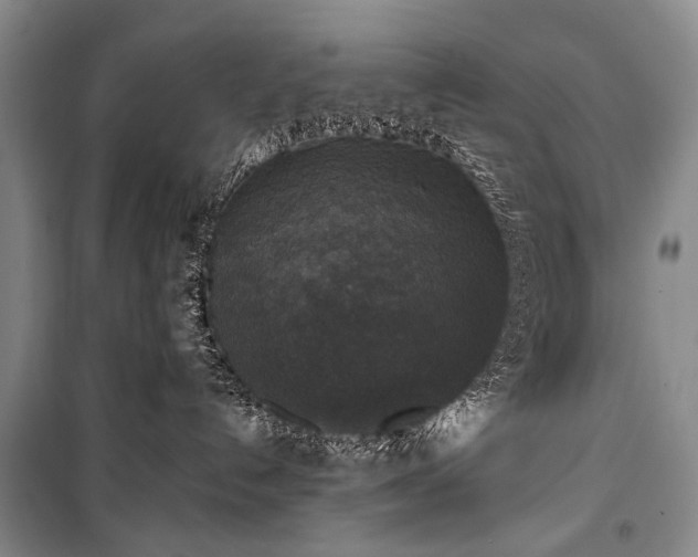 X0000100940192200807011254