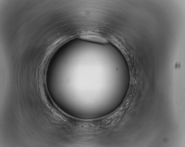 X0000100940193200807011253