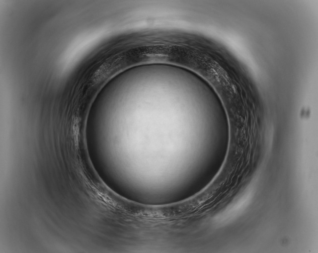 X0000100940194200807011253