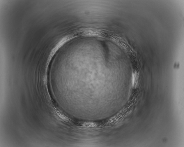 X0000100940195200807011253