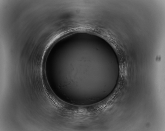 X0000100940196200807011253