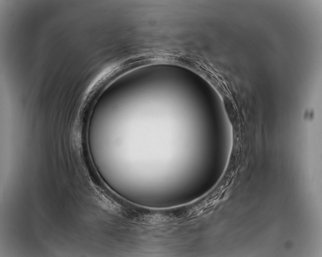 X0000100940197200807011253