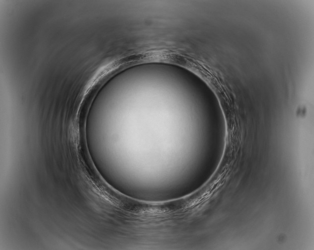 X0000100940198200807011253