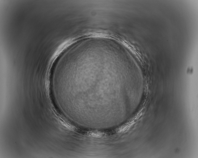 X0000100940199200807011253