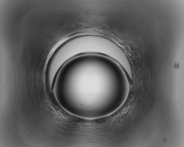 X0000100940200200807011253