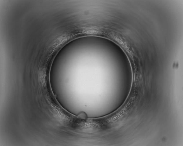 X0000100940201200807011253