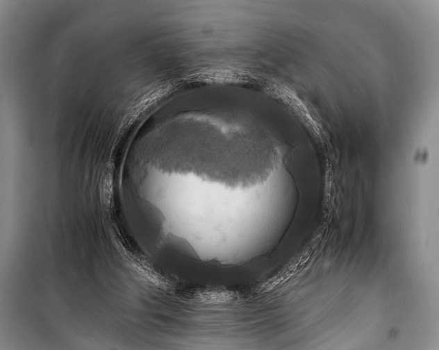 X0000100940202200807011253