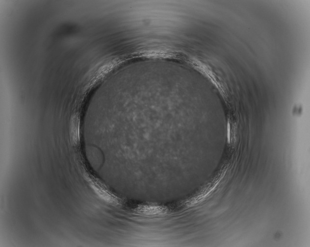 X0000100940205200807011253