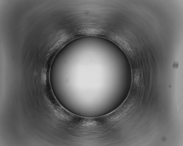 X0000100940206200807011253