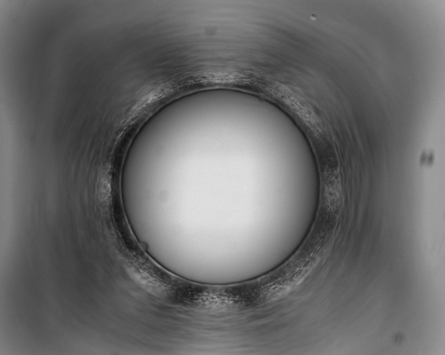 X0000100940207200807011253