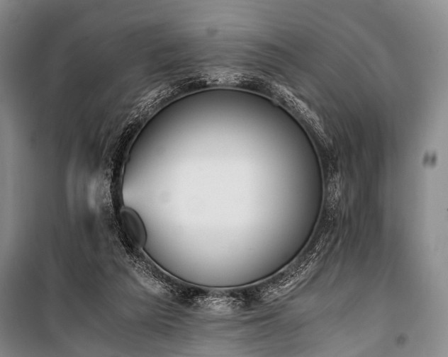 X0000100940209200807011253