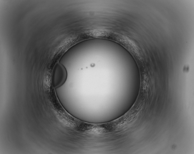 X0000100940210200807011253