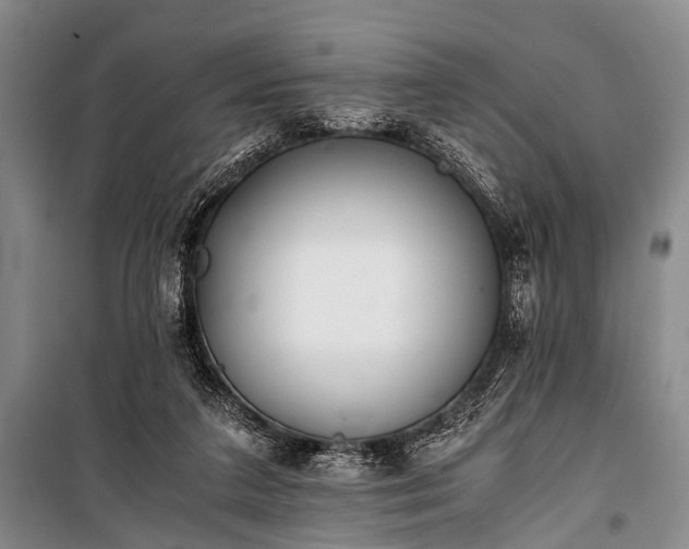 X0000100940211200807011253