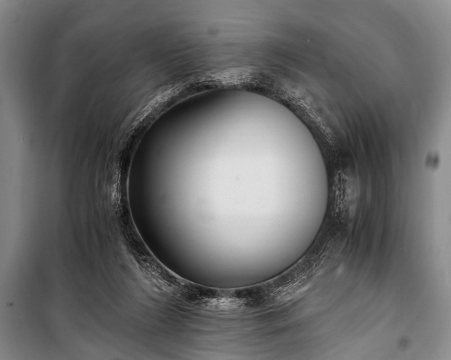 X0000100940212200807011253