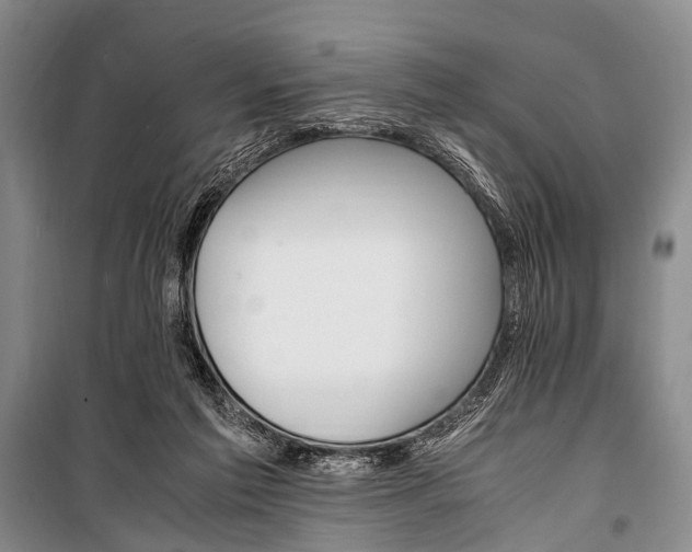 X0000100940213200807011253