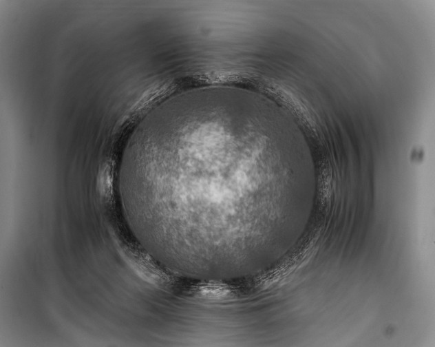 X0000100940214200807011253