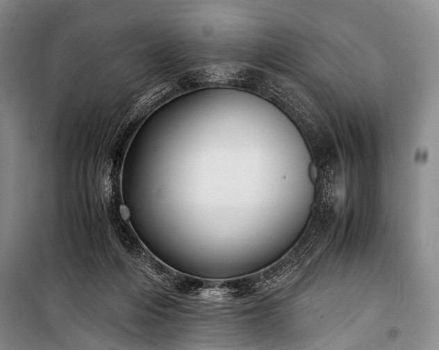 X0000100940216200807011253