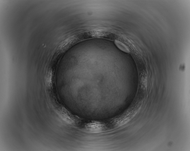 X0000100940219200807011253