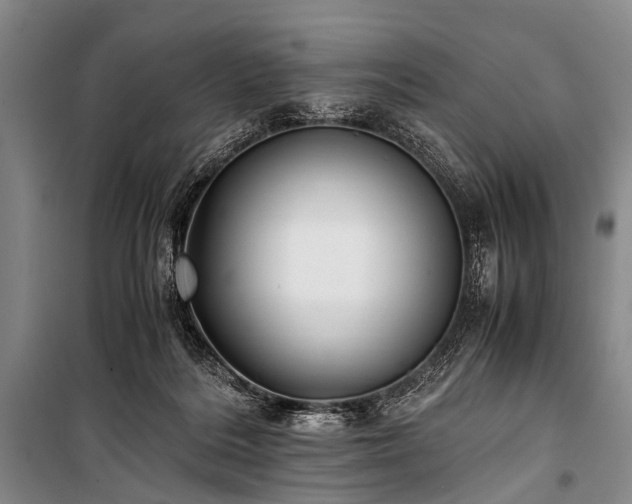 X0000100940220200807011253