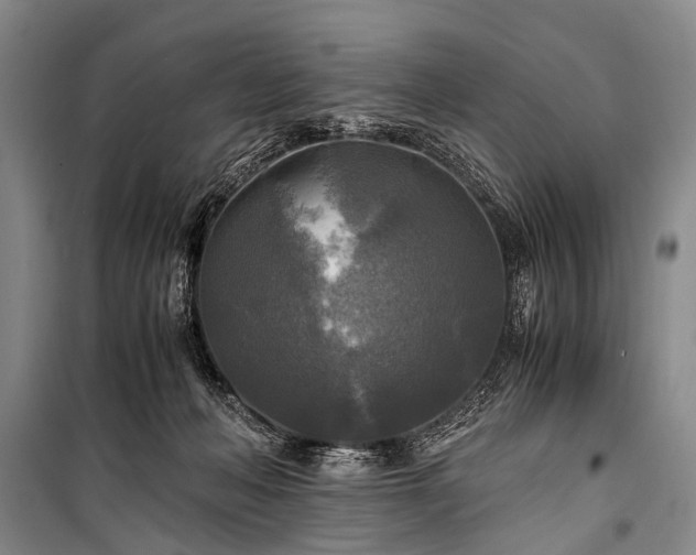 X0000100940222200807011253