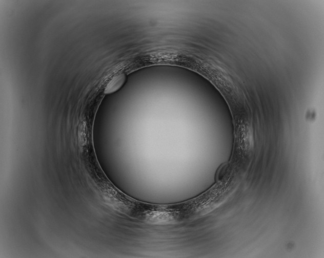 X0000100940224200807011253