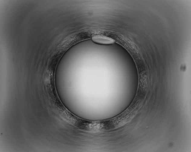 X0000100940225200807011253