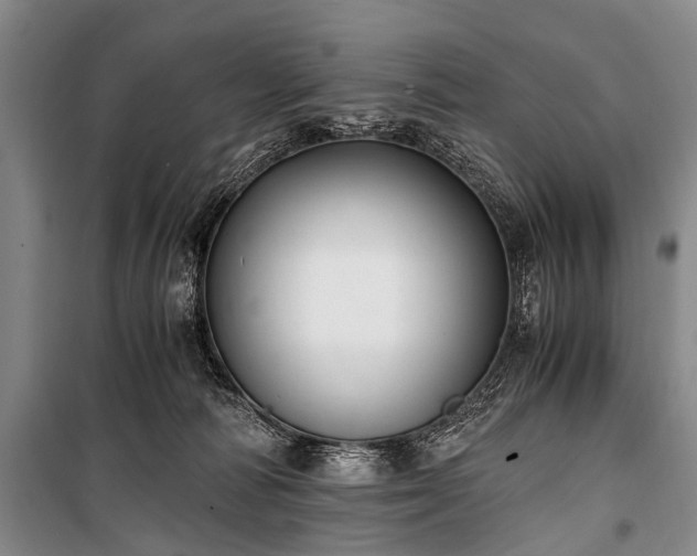 X0000100940226200807011252