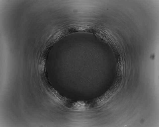 X0000100940227200807011252