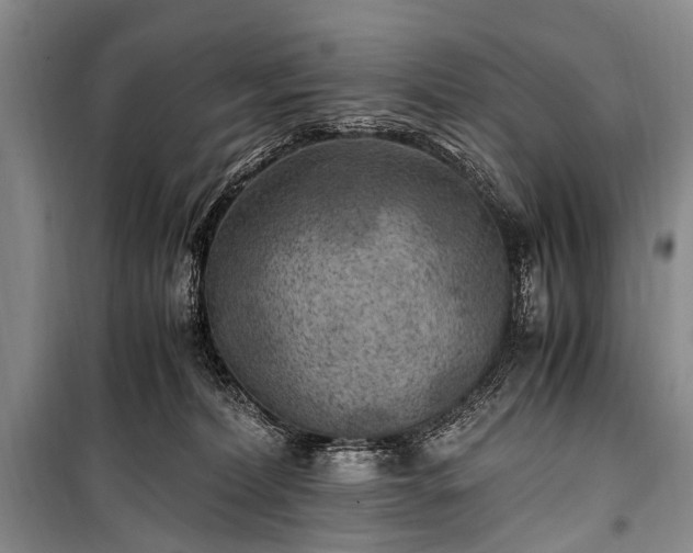 X0000100940228200807011252