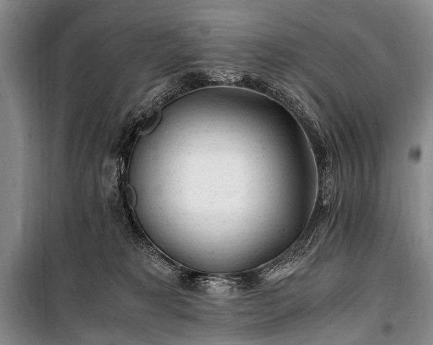 X0000100940229200807011252