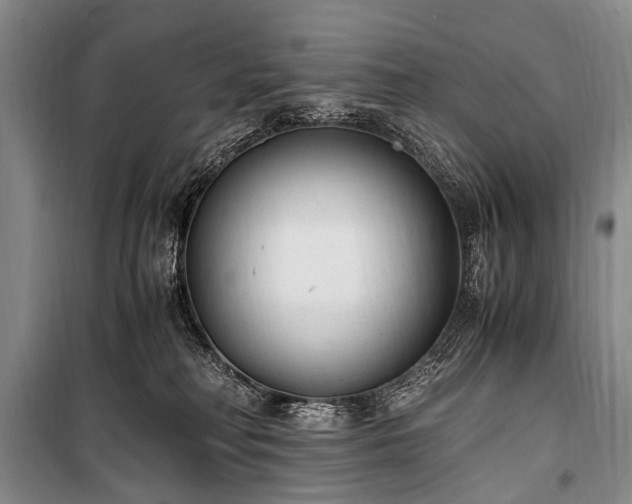 X0000100940230200807011252