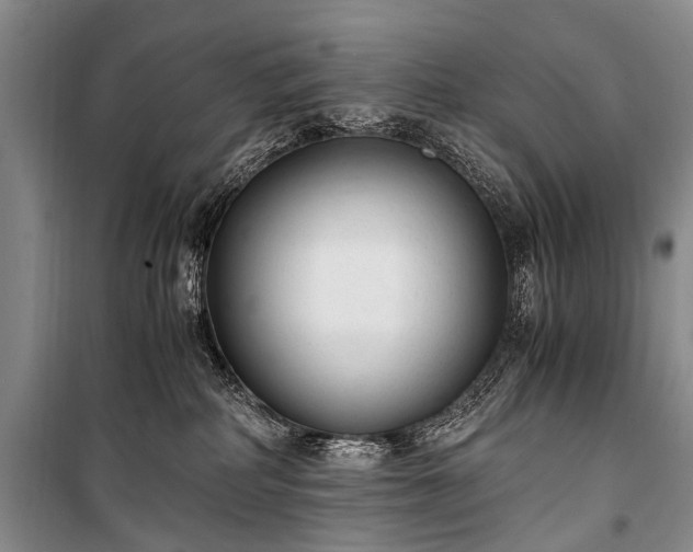 X0000100940234200807011252