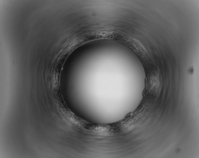 X0000100940236200807011252