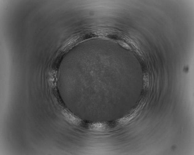 X0000100940237200807011252