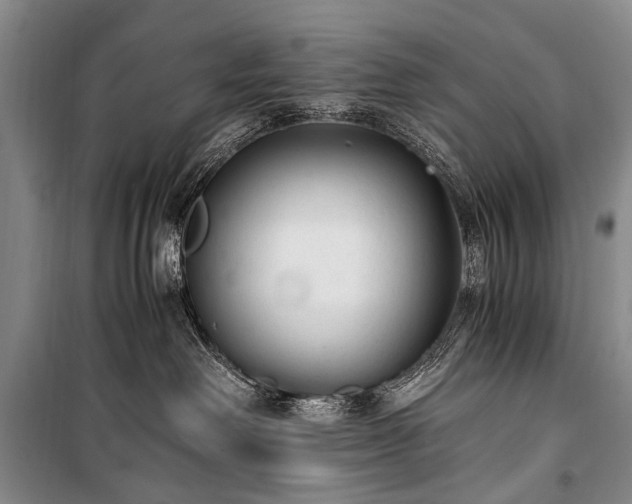 X0000100940238200807011252