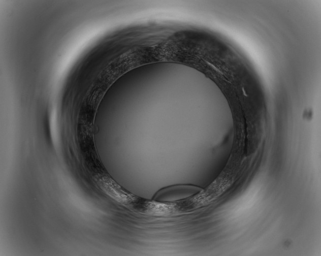 X0000100940239200807011252