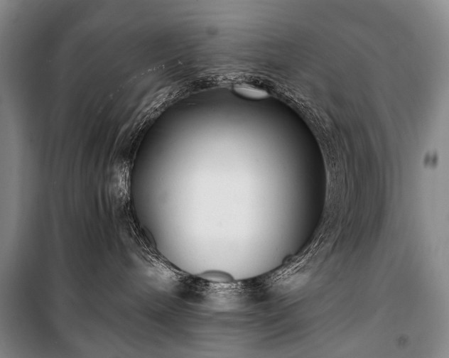 X0000100940240200807011252