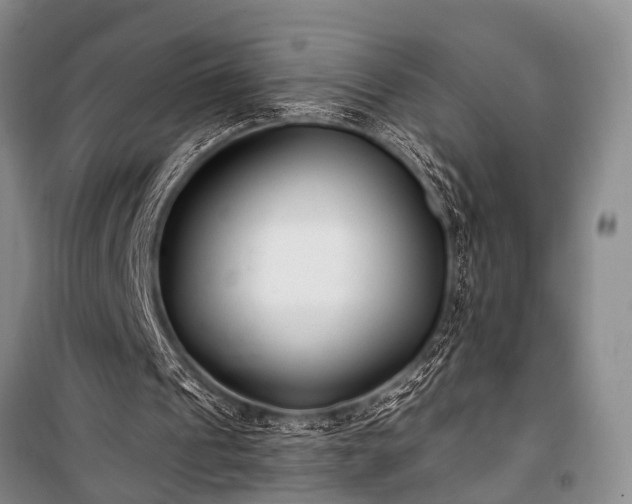 X0000100940241200807011252