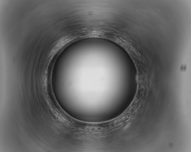 X0000100940242200807011252