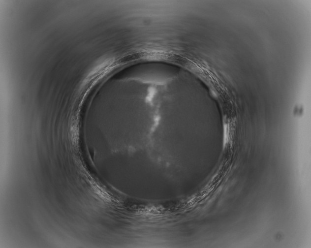 X0000100940243200807011252