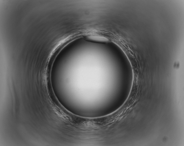 X0000100940244200807011252