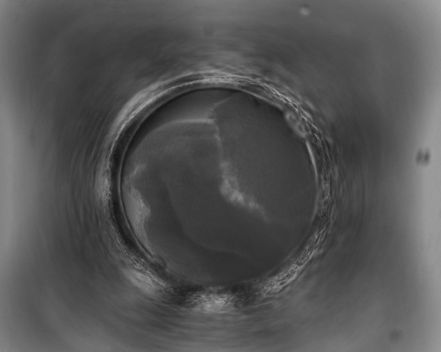 X0000100940247200807011252